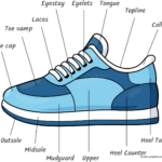 A colorful, labeled illustration of a sneaker, perfect for art projects.