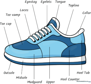 A colorful, labeled illustration of a sneaker, perfect for art projects.
