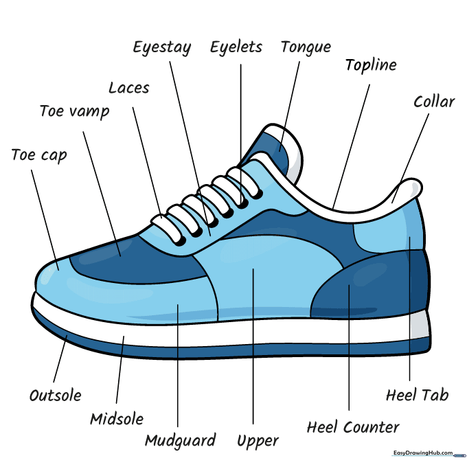 A fully colored and labeled sneaker drawing.