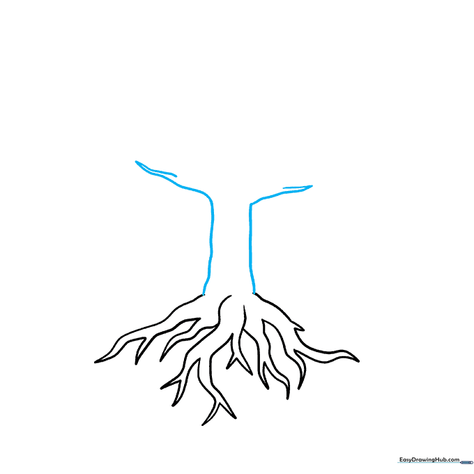 Sketch of a tree trunk rising from the roots with the first set of branches extending outward.