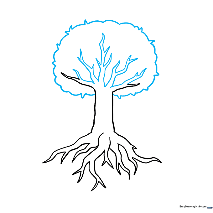 Drawing of a tree with a full canopy crown and additional upper branches.