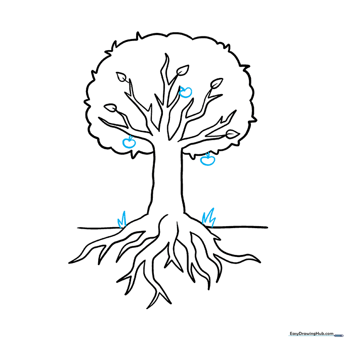 Drawing showing fruit hanging from branches and grass at the base of the tree.