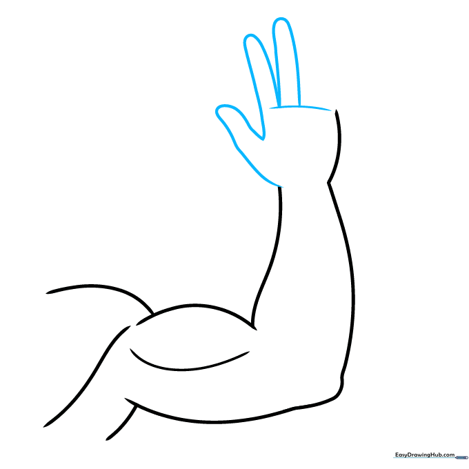 Step-by-step illustration of a hand outline showing the thumb and palm structure.
