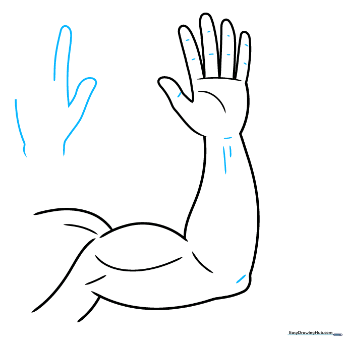 Drawing showing wrist and knuckle details and the start of a second hand.