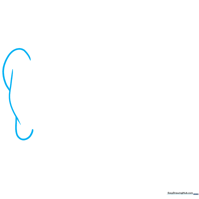 Line drawing of the outer ear silhouette showing the helix and lobe.