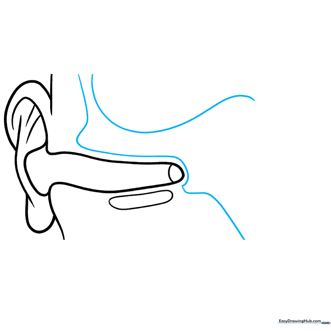 Sketching the middle ear cavity boundaries.