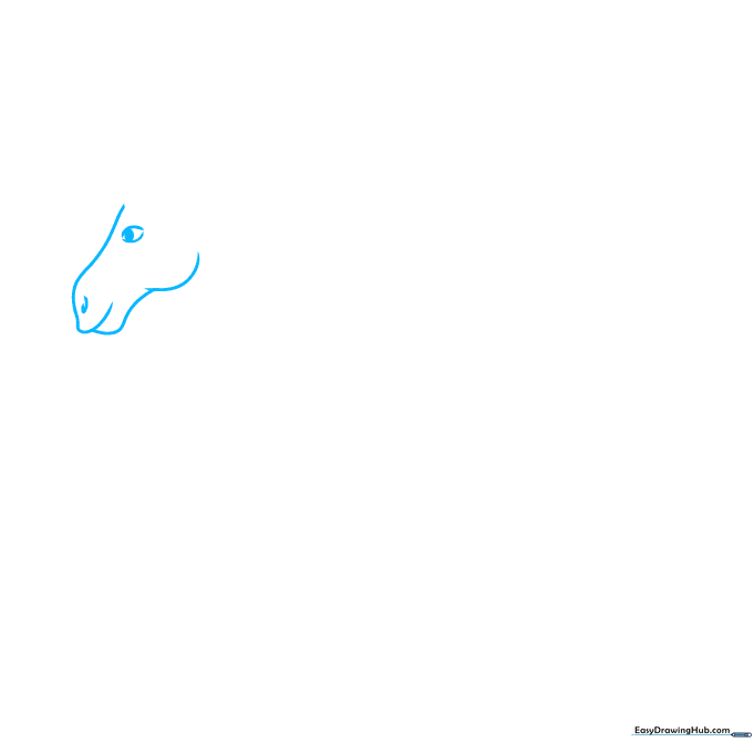 Close-up sketch of a horse head showing the eye, nostril, and jawline structure.