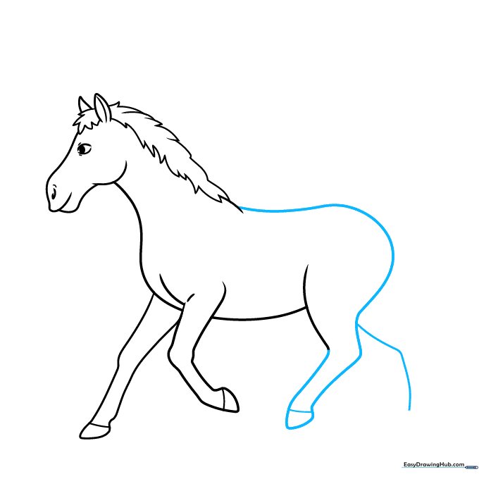 Drawing the horse's back, rump, and rear leg structure.