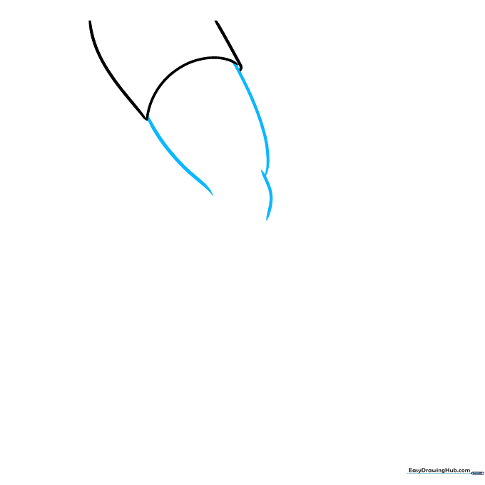 Drawing of a human thigh and knee joint using smooth, overlapping curved lines.