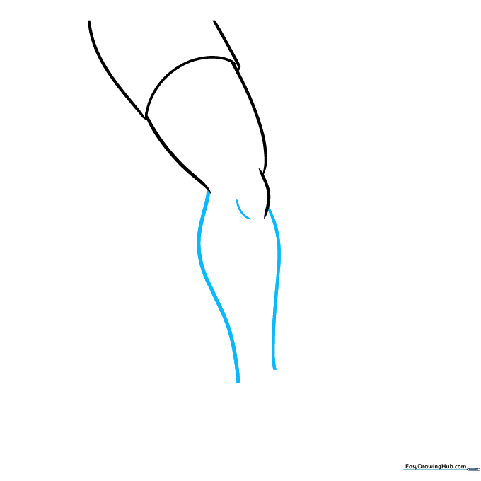 Illustration of the lower leg showing the calf and shin contours.