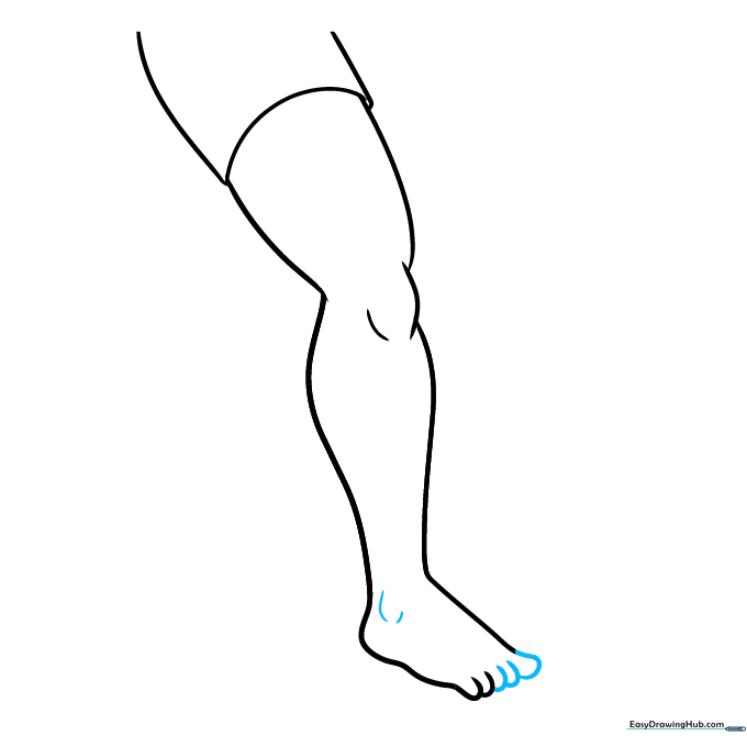 Detailed drawing of the foot showing refined toe shapes and ankle bone placement.