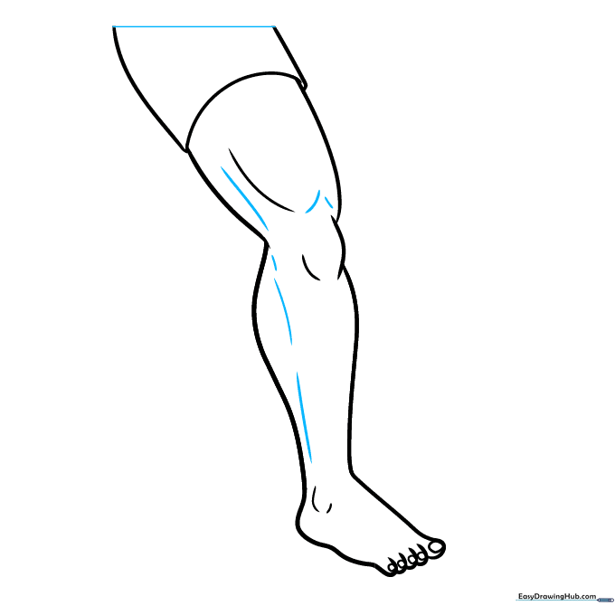 The leg drawing with added muscle contours and a top border line.