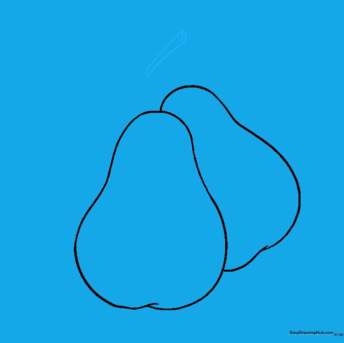 Drawing of a pear stem featuring two parallel lines and a small oval cap at the top.