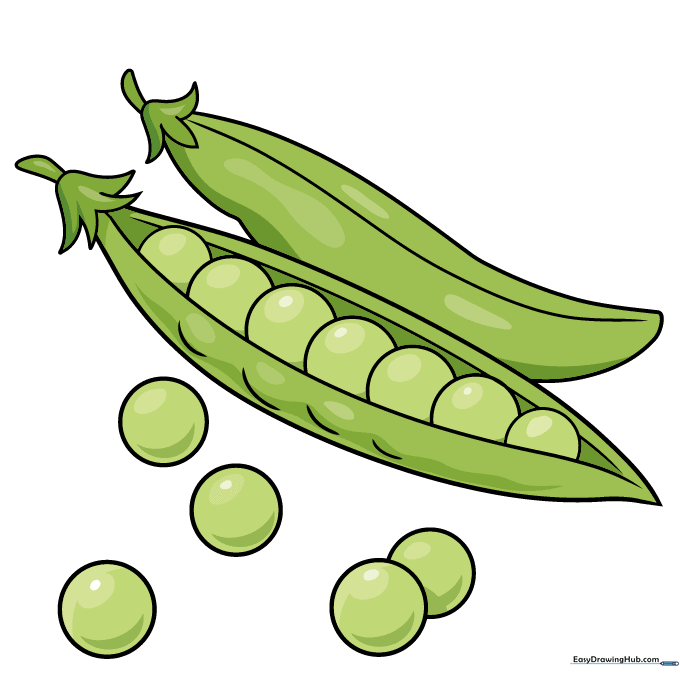 Finished drawing of peas colored in shades of green.