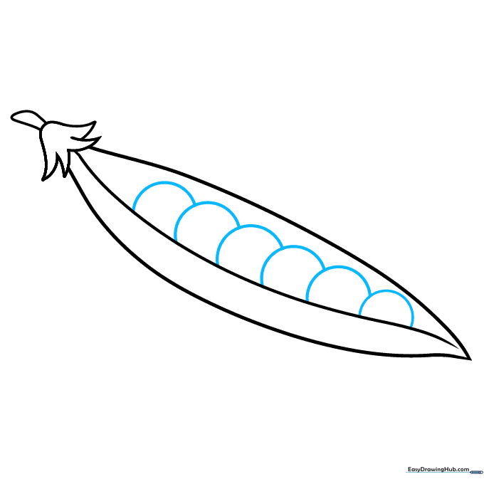 Adding multiple circular shapes inside the pod to represent individual peas.