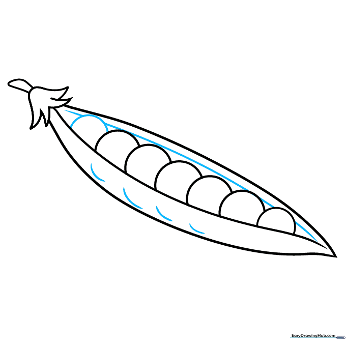 Adding curved lines to create depth and texture on the pea pod surface.