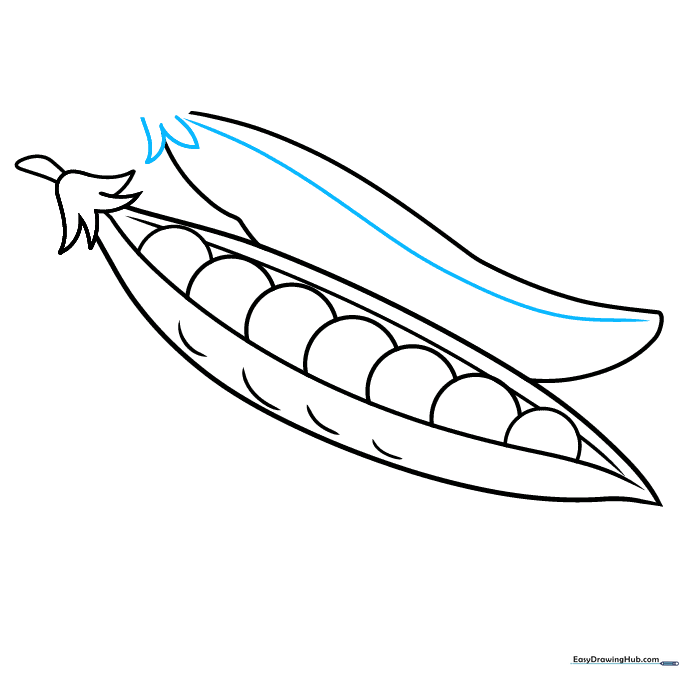 Adding a seam and calyx details to the second pea pod.