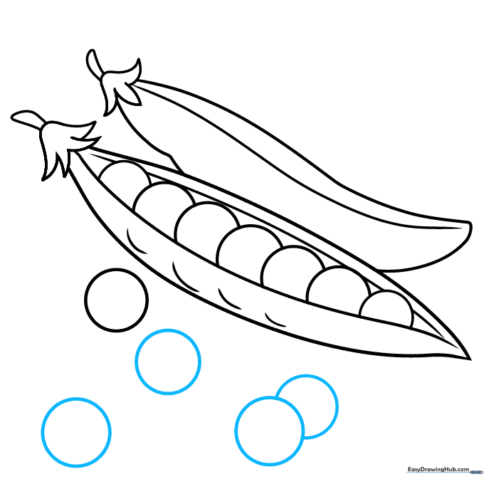 Adding extra small circles around the pods to complete the composition.