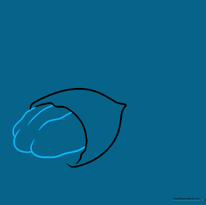 Drawing the inner nut meat with three distinct lobes protruding from the shell.