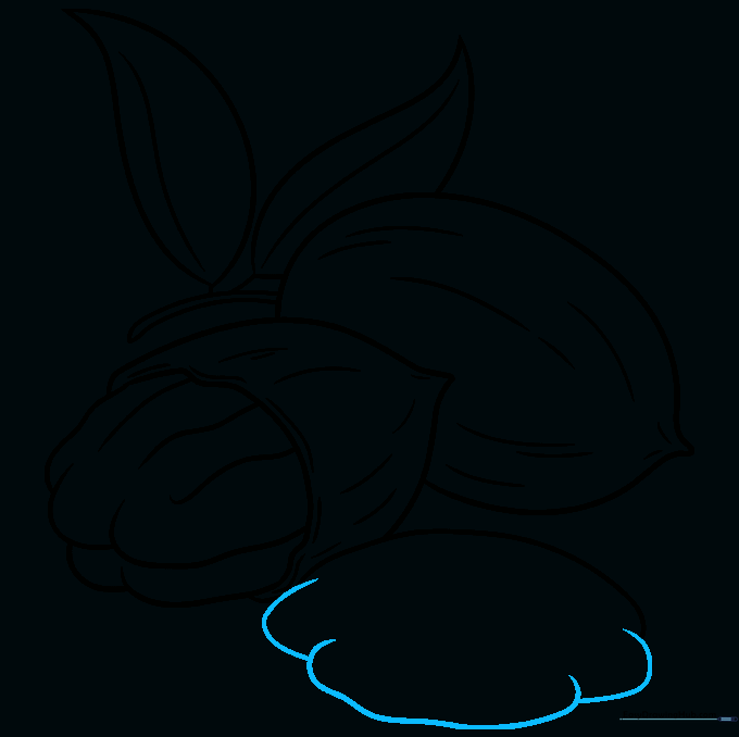 Adding detailed texture to the third nut's surface.