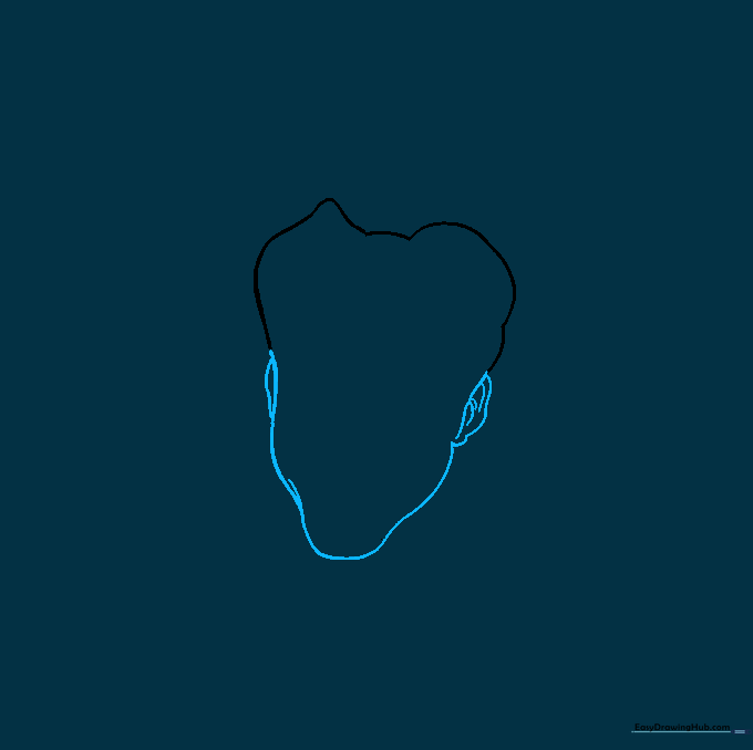 The jawline is narrowed and ears are added to the sides of the head.