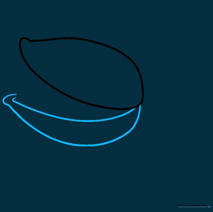 Two curved lines extending from the shell to form the base structure.