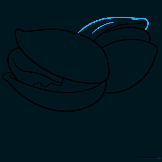 Refining the shell edges with overlapping lines for depth.