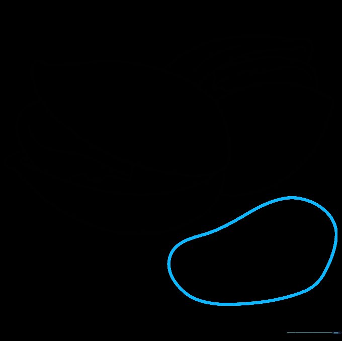 Drawing an irregular shape for a shelled pistachio nut.