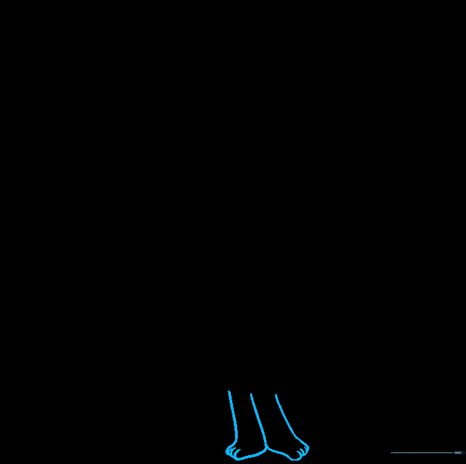 Drawing the legs and feet with toe details.