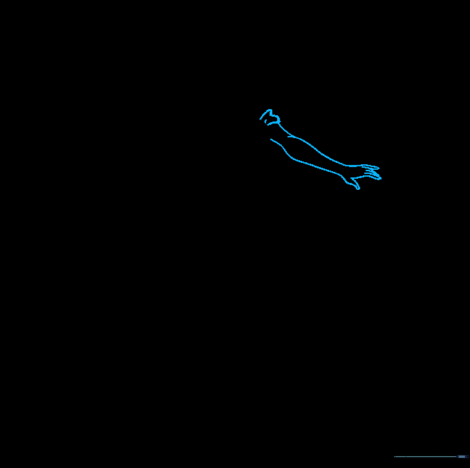 Line drawing showing the addition of the second arm and hand.