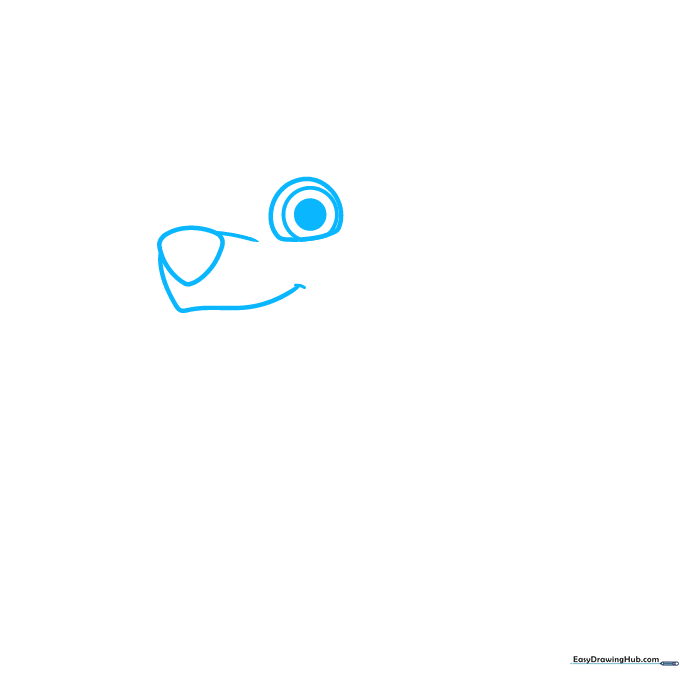 Close-up sketch of Rocky's nose and eye, showing the initial geometric shapes used to build the face.