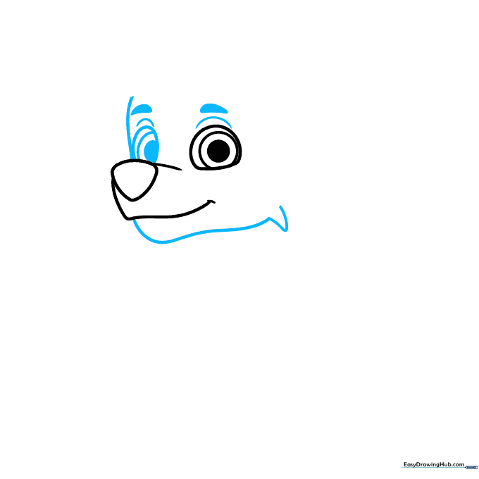Drawing the outline of Rocky's face with jagged lines for fur and adding eyebrows.