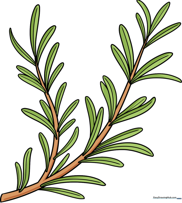 A vibrant, finished drawing of a rosemary sprig, showcasing the final colored result.