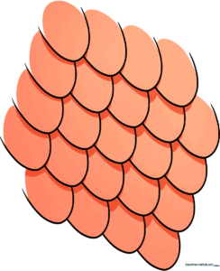 A vibrant, finished drawing of textured scales, showcasing the final result of the tutorial.