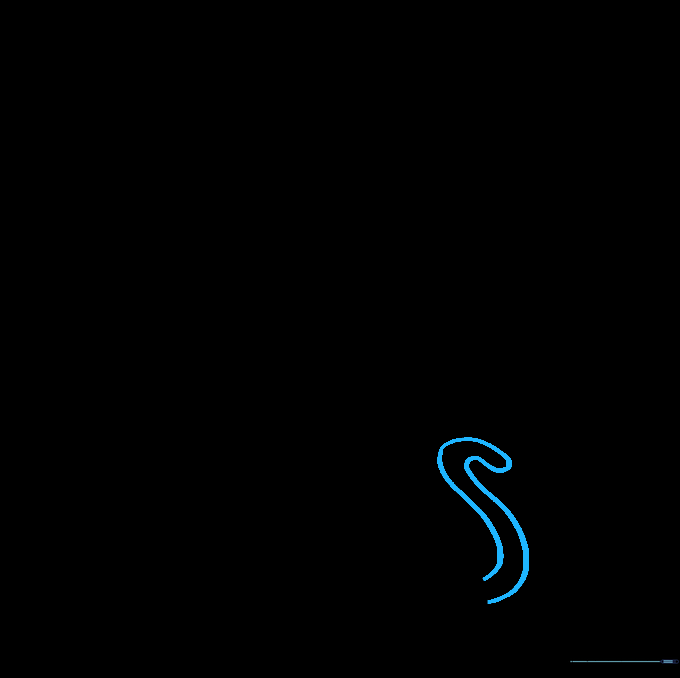 Adding the tail to the Scooby-Doo sketch using a fluid, S-shaped line.