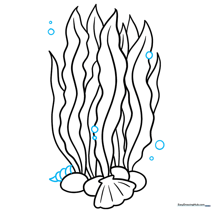 Adding a spiral shell and floating bubbles to complete the underwater scene.