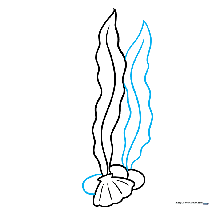 Drawing a second seaweed leaf and an additional rock on the ocean floor.