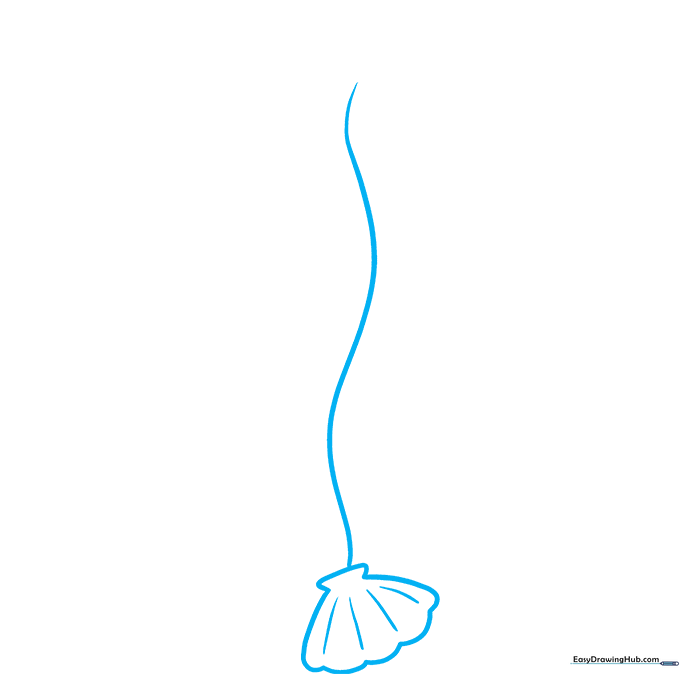Pencil sketch of a seashell base with a single wavy line extending upward to form the first seaweed stem.