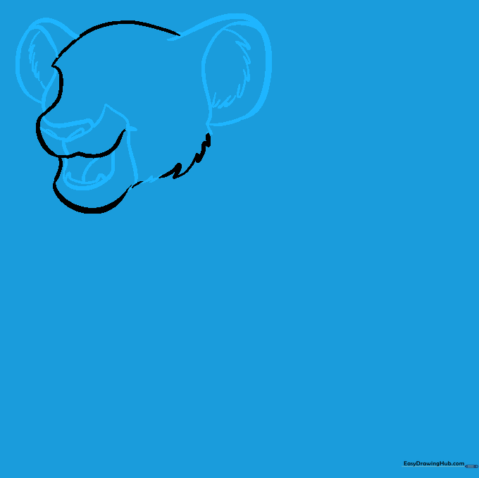 Detailed sketch of Simba's ears, open mouth, teeth, and nose structure.