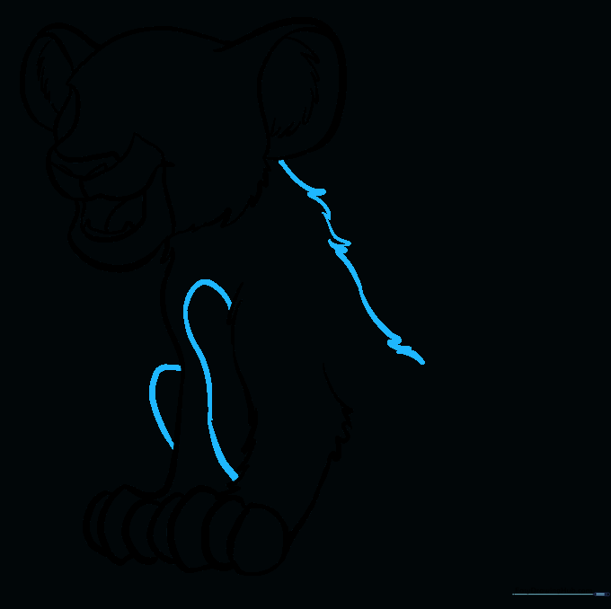 Sketch showing the transition from Simba's back to his belly and rear leg.
