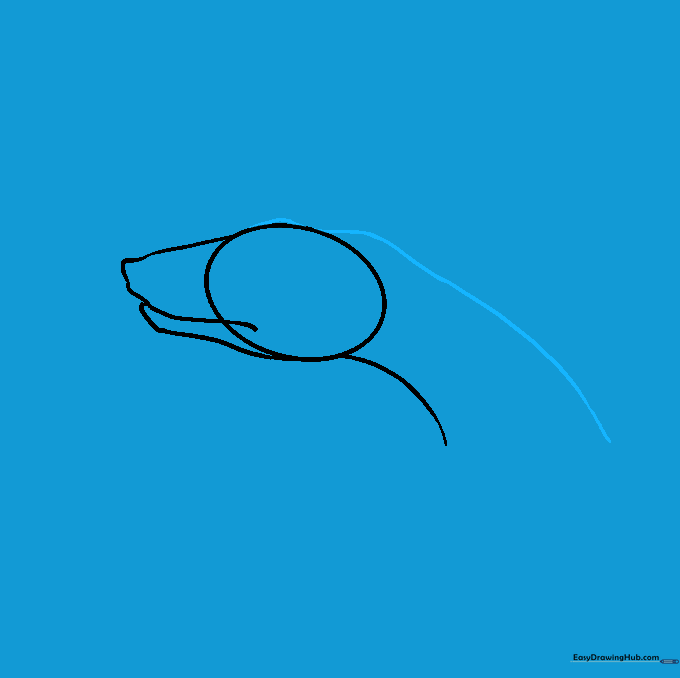 Drawing the ridge above the eye to define the snake's head shape.