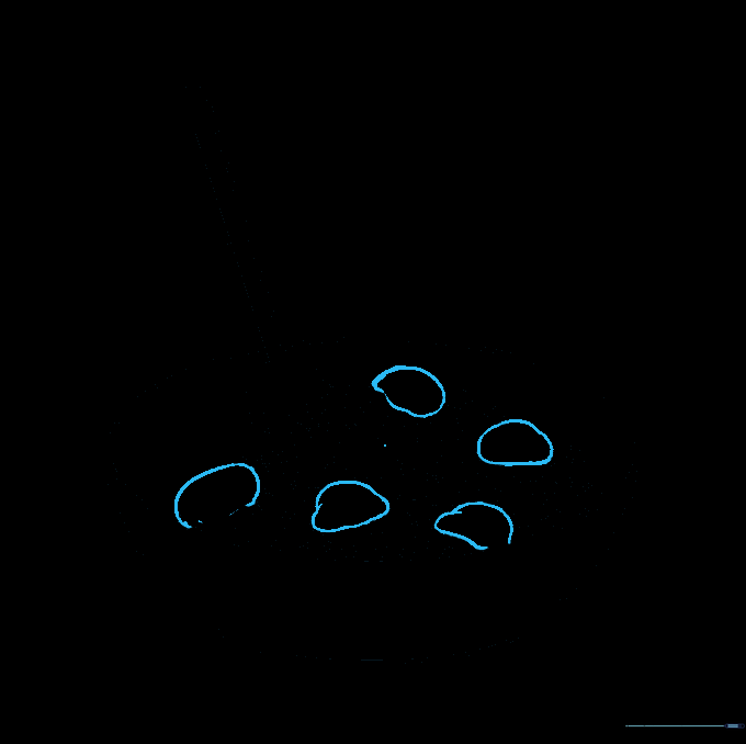 Sketching meatballs as irregular circles placed within the spaghetti.