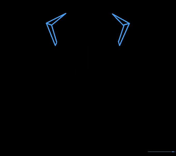 Drawing the first segment of the spider legs on both sides.