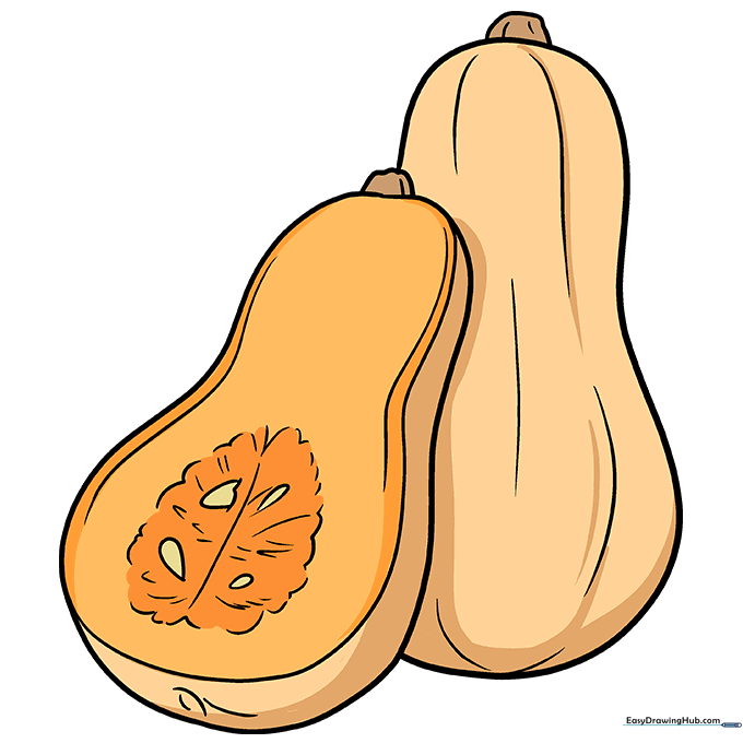 A fully colored drawing of two butternut squashes using warm autumn colors.