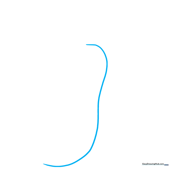 A single long, curved pencil line forming the left side of a butternut squash shape.