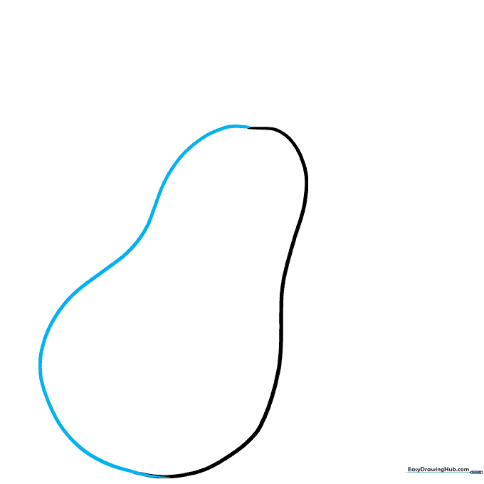 The completed pear-shaped outline of a butternut squash.