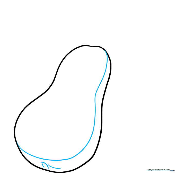 A cross-section line drawn through the squash with a small spiral detail at the base.