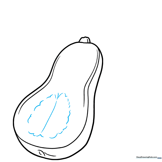 Drawing the internal seed cavity using rounded oval shapes.