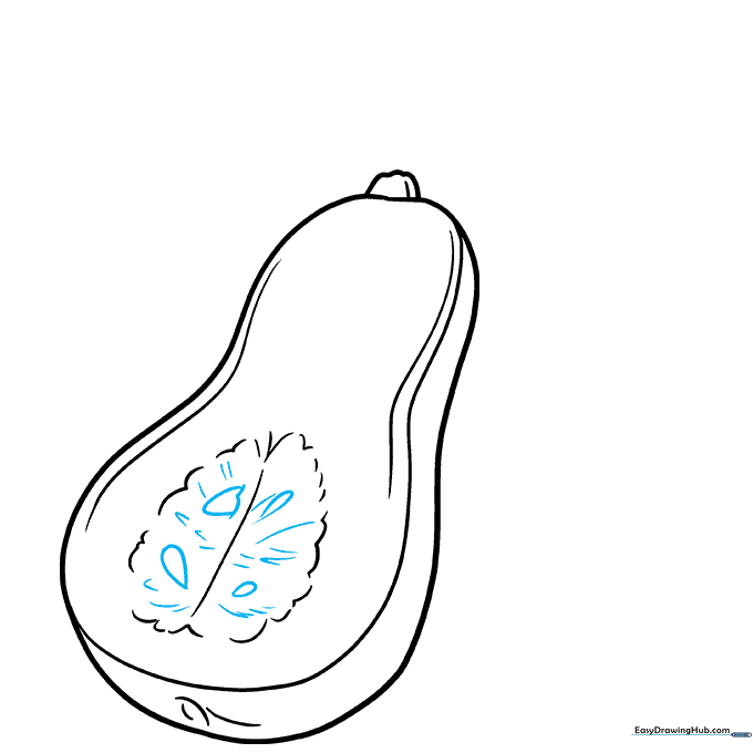 Adding teardrop-shaped seeds and fibrous texture lines inside the squash cavity.