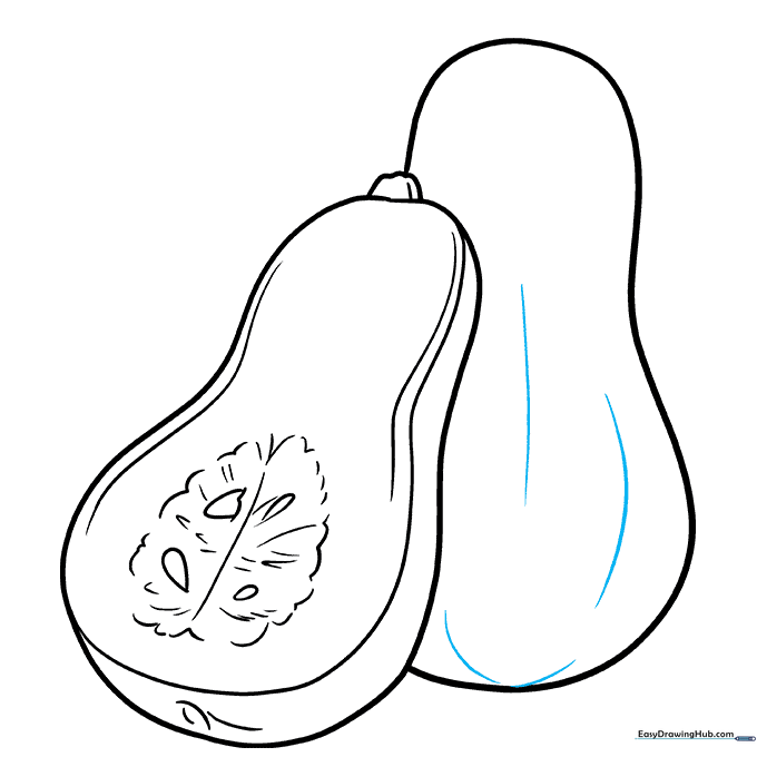 Adding curved contour lines to the surface of the whole squash to suggest volume.